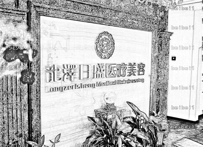 北京龙泽日盛医疗美容整形技术怎么样？,整形