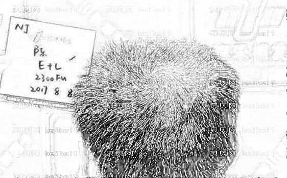 南京植发比较好的医院有哪些?揭秘南京植发医院前五榜单&附介绍