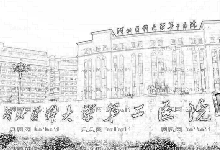 河北医科大二院哪个医生隆胸技术好?苏晓光隆胸收费高吗?