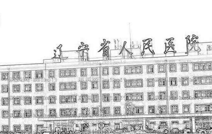 辽宁人民医院哪个医生隆胸技术好?袁继龙隆胸收费高吗?