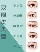 图解四类双眼皮 三大术式构造双眼皮