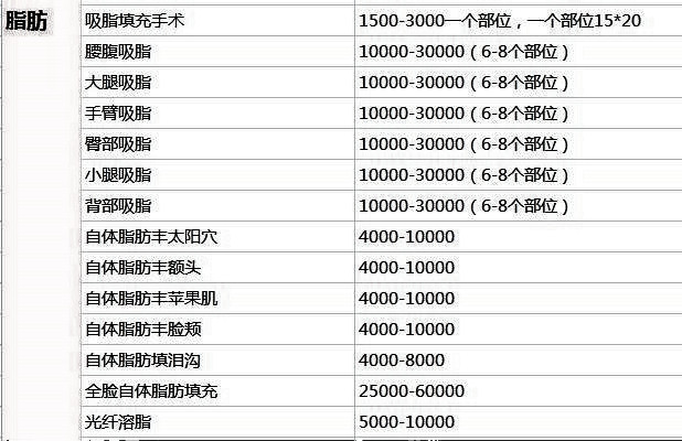 自体脂肪填充手术价格多少？