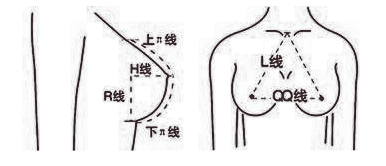 别在为胸小自卑了，也许你的乳房刚刚好呢？