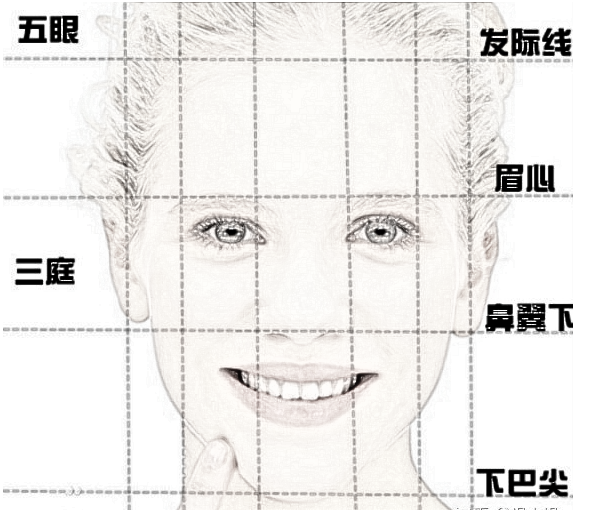 标准脸型的黄金比例图图片