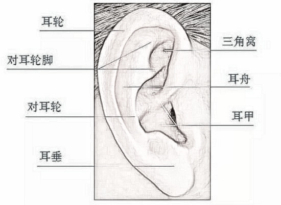 耳朵畸形怎么办？可以做矫正吗？