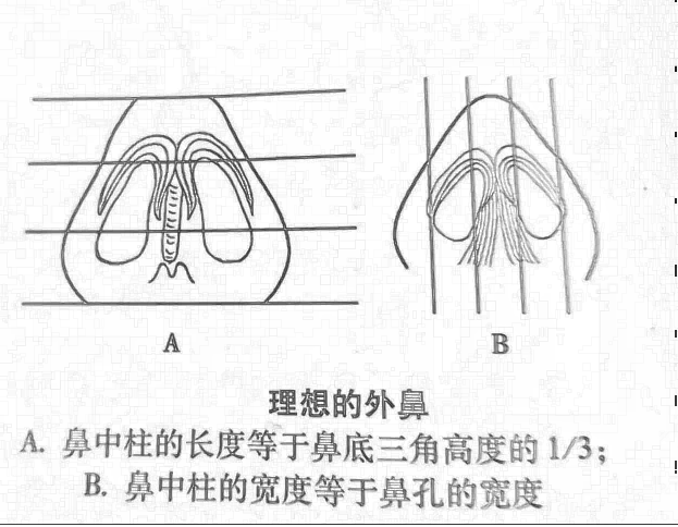 选择合适的鼻部整形才能理想的果，那么要怎么选择呢？