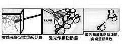 【贝贝网】面部光纤溶脂是什么?价格贵吗?