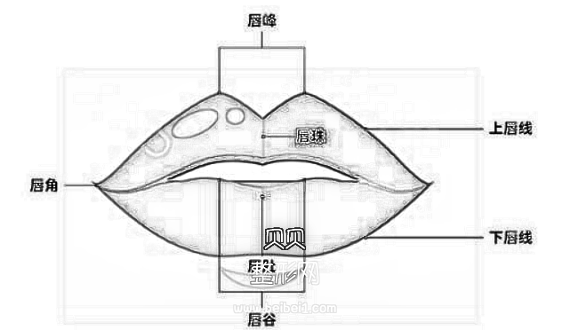 玻尿酸丰唇多少钱一针？术前注意事项你都了解么？