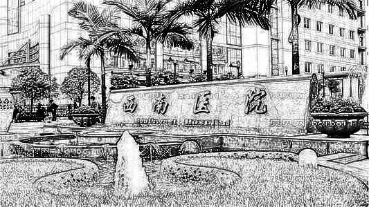 重庆西南医院李世荣隆鼻介绍果怎么样?费用贵不贵?
