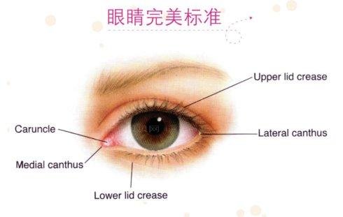 上海佀同帅双眼皮有做坏的介绍吗?技术怎么样