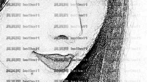 哈尔滨做鼻子医生哪个做得好?哈尔滨做鼻子较好的医生排名名单