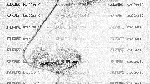 呼和浩特做鼻子医生哪个做得好?呼和浩特做鼻子较好的医生排名名单