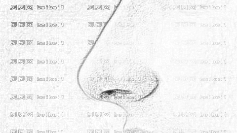 东莞做鼻子哪家医院好?东莞做鼻子医院介绍前十名单