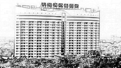 解放军第九六〇医院整形技术怎么样？,内部曝光