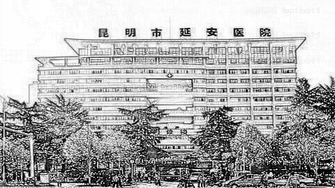 昆明延安整形医院怎么样?医生团队+整形价格