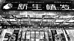 温州新生植发怎么样？哪个医生技术好