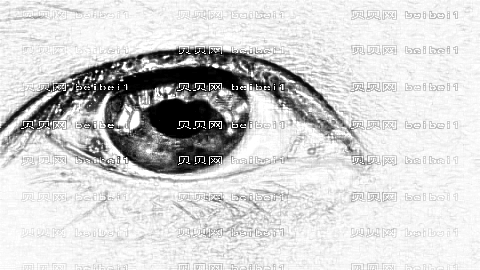 云南华美美莱整形医院怎么样?医生排名