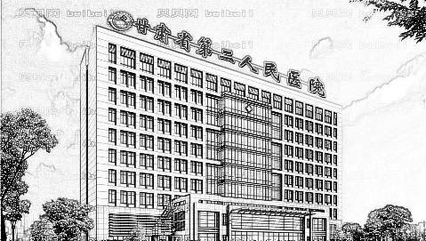 甘肃省第二人民医院整形怎么样？医生介绍
