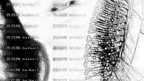 广州紫馨整形口碑怎么样?内部整形曝光!医生排名名单