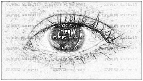 华美陈扬做眼鼻部手术怎么样?华美陈扬做眼鼻部手术介绍,眼鼻很协调!