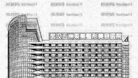 武汉五洲莱美整形医院靠谱吗？哪个医生擅长隆鼻？内附