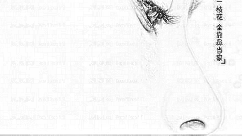 美莱周蔚鼻子做得怎么样?周蔚肋软骨隆鼻反馈好不好?附介绍
