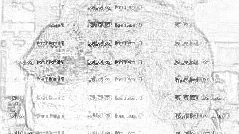 杭州新生植发医院怎么样?附医院地址+医生介绍+新生植发
