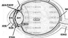 华西李平惠专家做眼睛震颤手术怎么样?,做眼睛震颤手术介绍及