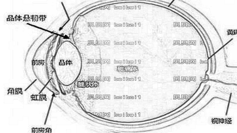 华西李平惠专家做眼睛震颤手术怎么样?,做眼睛震颤手术介绍及