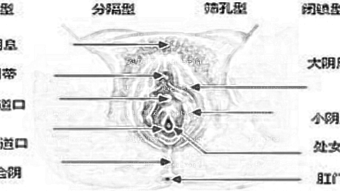 成都九龙私密整形怎么样?医生团队+整形价格