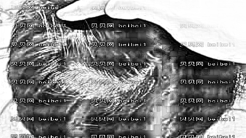 广州倍生植发技术怎么样？较新植发价格一览表！医生排名名单