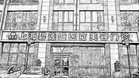 上海碧莲盛植发医院怎么样？医生介绍名单