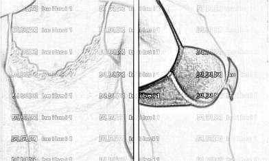 深圳同仁整形医院怎么样？医生团队+整形价格