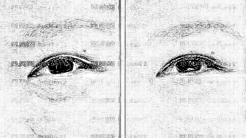 上海去眼袋哪家医院好?上海去眼袋医生排名名单&附介绍