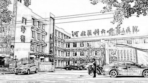 河北医科大学第三医院
