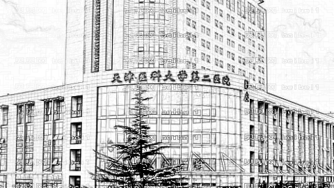 天津医科大学第二附属医院