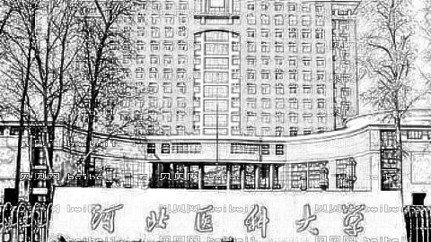 河北医科大学口腔医院