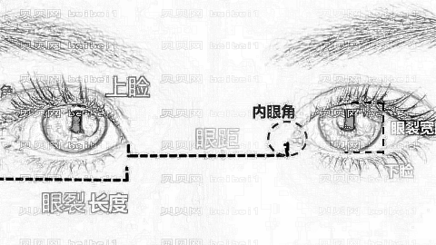 上海长征医院割双眼皮价格贵不贵?多少钱?