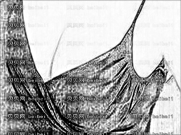 深圳贾大辉医生做隆胸怎么样?贾大辉丰胸果好吗?附介绍