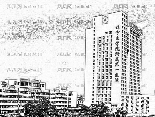 辽宁医学院一附院割双眼皮果怎么样?李传宝割双眼皮怎么样?
