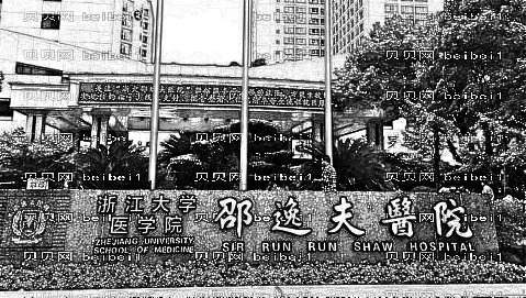 浙江杭州邵逸夫医院整形外科祛眼袋医生有哪些?虞渝生,许凤芝技术怎么样?