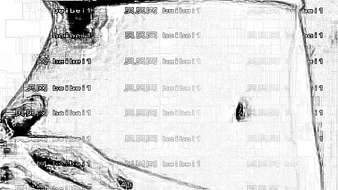 哈尔滨医科大学附属第二医院