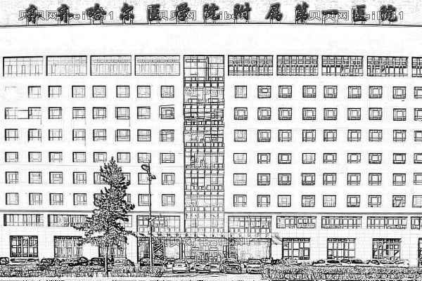 齐齐哈尔医学院第一附属医院
