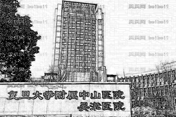 上海吴淞中心医院