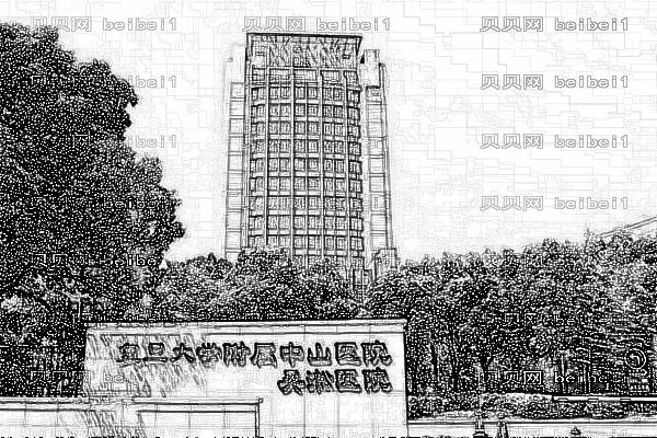 上海吴淞中心医院