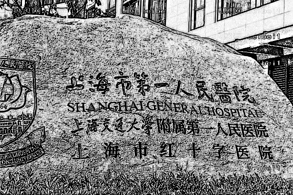 上海市第一人民医院