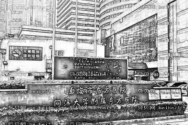 上海东方医院