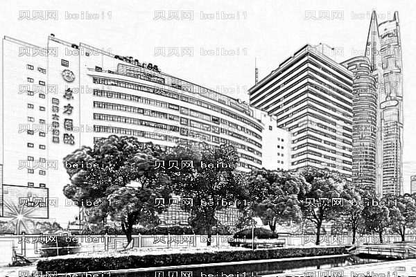 上海东方医院