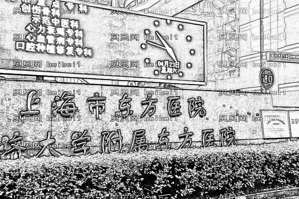 上海东方医院