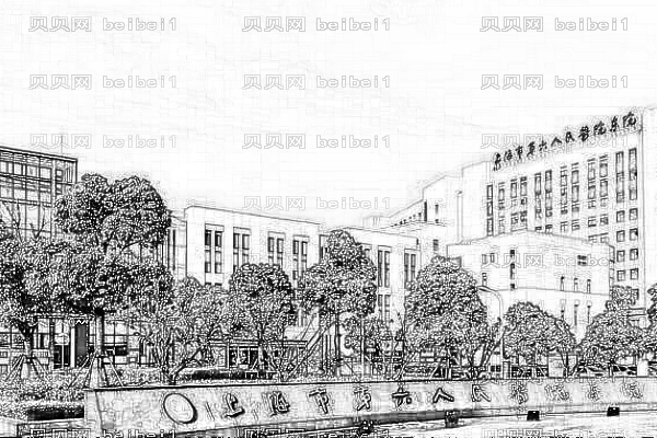 上海第六人民医院